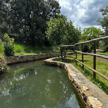 Oasis Des Corbieres Bed & Breakfast