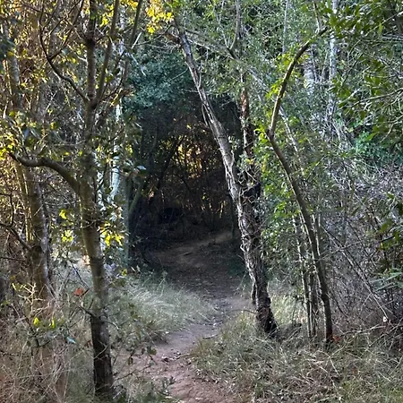 Oasis Des Corbieres Отель типа 