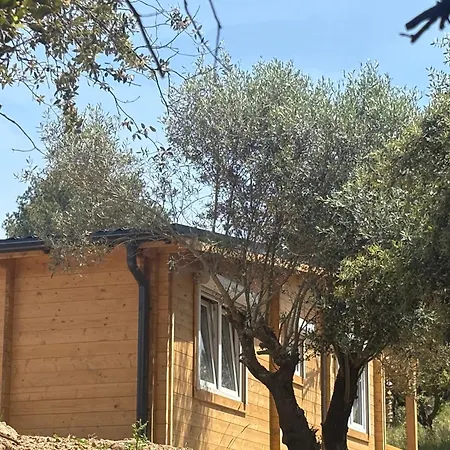 Bed & Breakfast Oasis Des Corbieres *